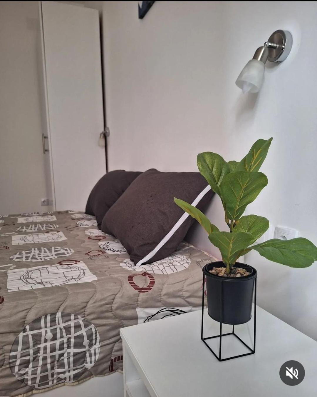 Apartmani Koki Kladovo Kültér fotó