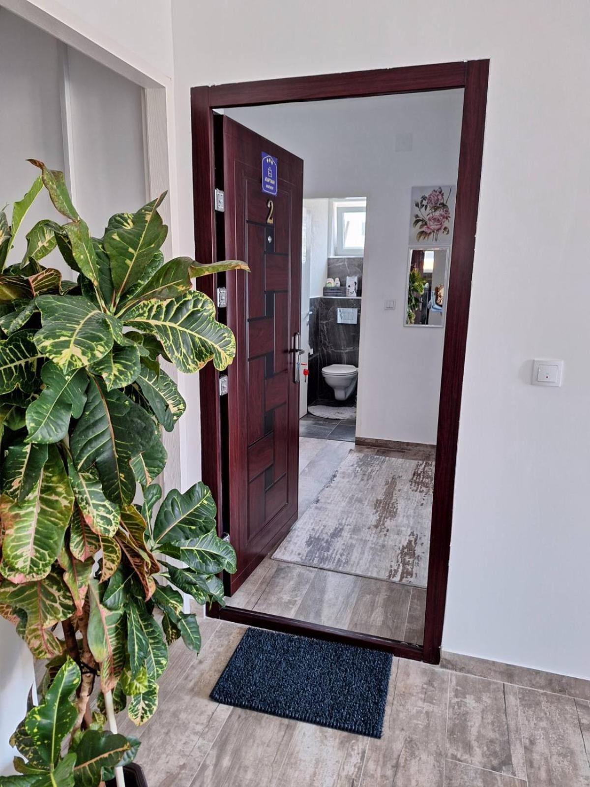 Apartmani Koki Kladovo Kültér fotó