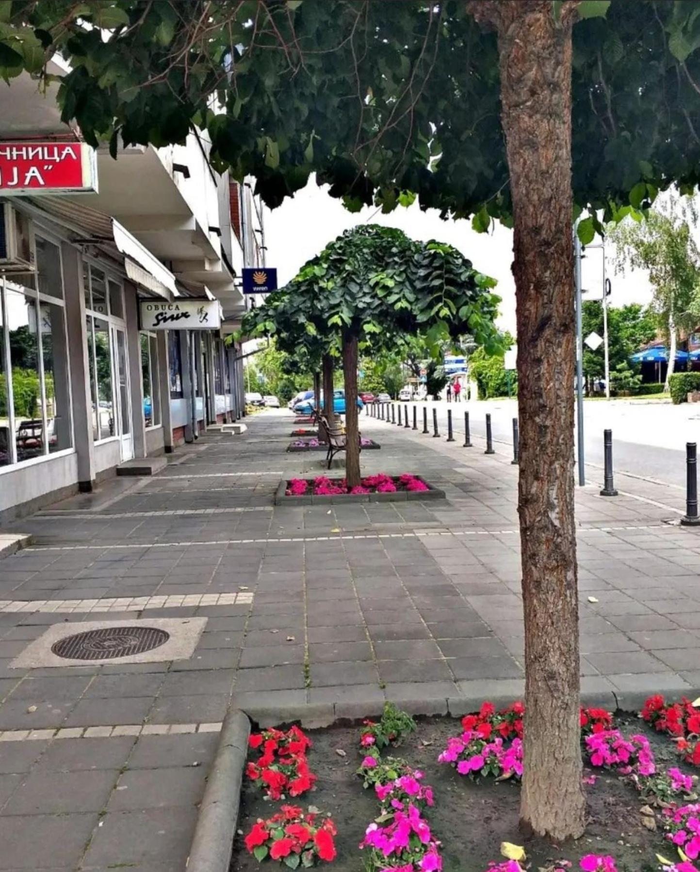 Apartmani Koki Kladovo Kültér fotó